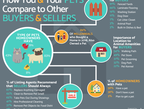 Homeowners And Their Pets Infographic