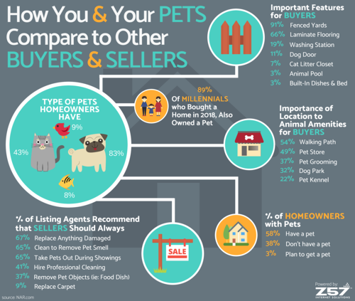 Homeowners and Their Pets Infographic